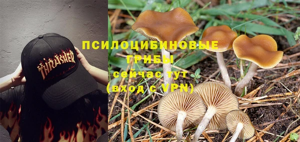 a pvp Балахна