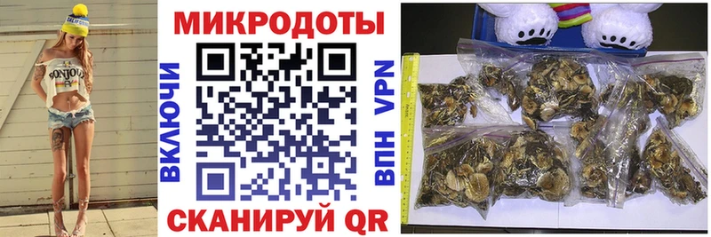 Галлюциногенные грибы прущие грибы  нарко площадка официальный сайт  Усть-Катав 